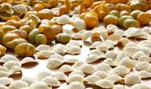 那件事留在我记忆深处