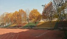 梧桐树下的身影