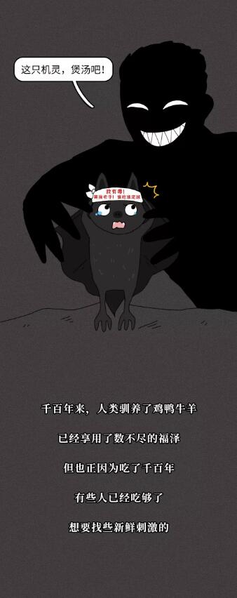 蝙蝠的叙述