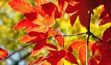 秋天的南湖公园