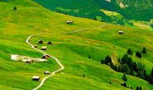 收藏自然的美丽