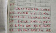 围绕中心意思写作文乐