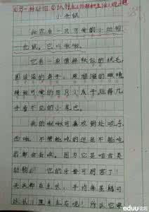 我最喜欢的小动物作文三年级300字