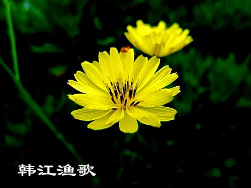 步行生活