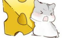 可爱又调皮的小仓鼠