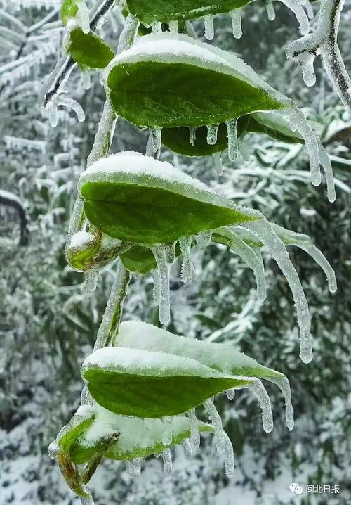 雪中​​的乐趣