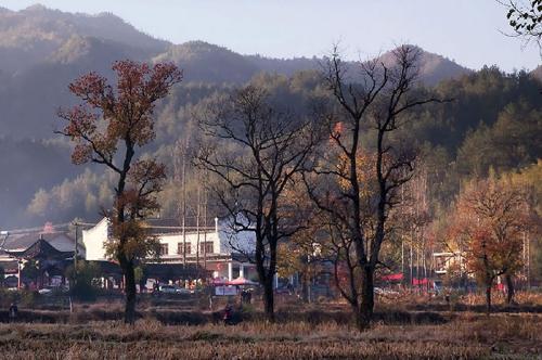 在那个偏远的山村里