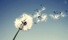 属于我们的成长之歌