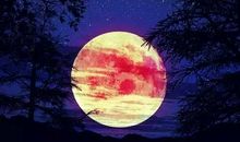 今年中秋月更圆