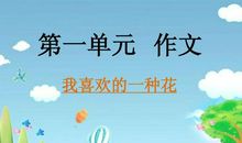 我最喜欢的一种花木作文