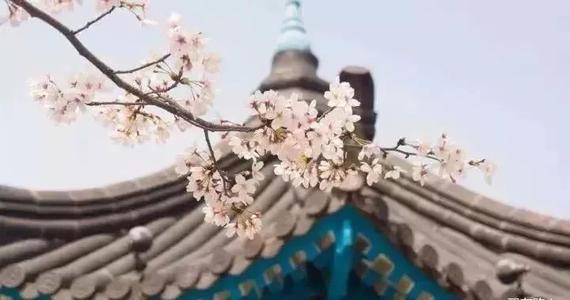 不要留下时间后悔