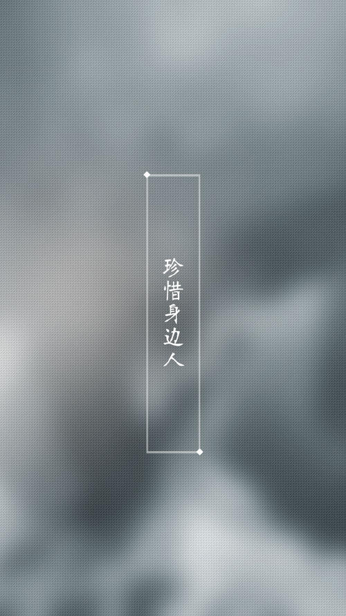 珍惜你周围的人