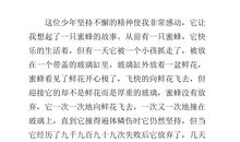 顶碗少年读后感