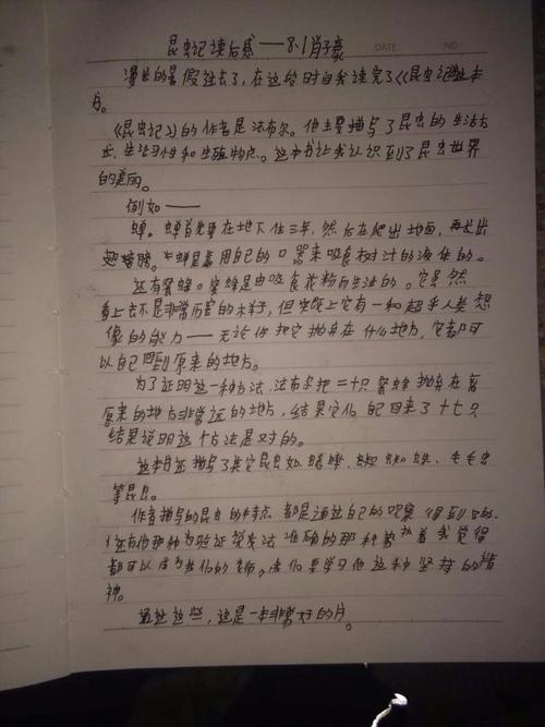 看虫后600字