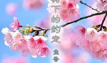 镌刻在樱花树下的约定