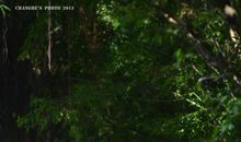 那一年我们相差十岁