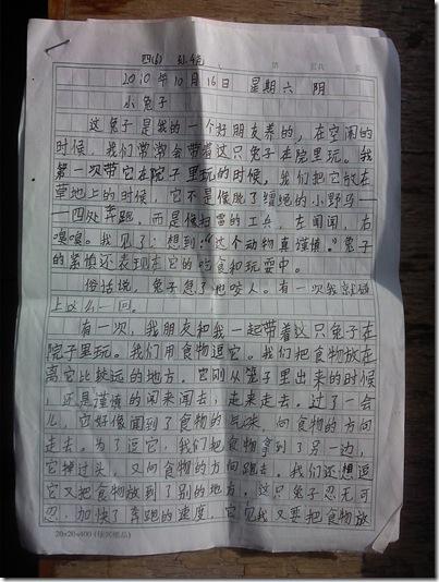 肖梦子借了尾巴作文