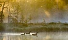 从生活中学会停下