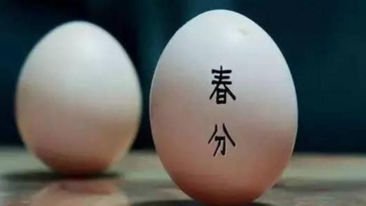 春分鸡蛋