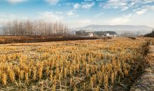 幸福的乡村生活