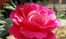 挡不住的好心情