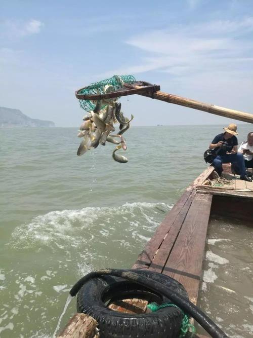 返回大海