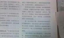 我心中的太阳作文