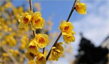 这件事让我终生难忘