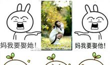 我想要一个这样的自己