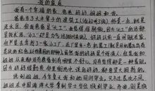家庭给我的温暖作文300字