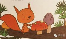 写给小松鼠的信