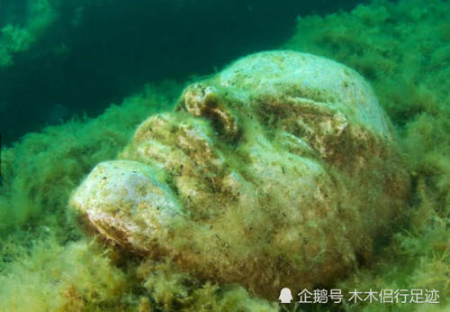 神奇的海洋世界