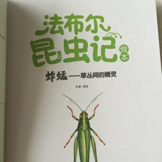 在茂密的草丛中-读完《昆虫》后我的感觉_1000字