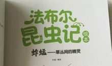 在幽密的草丛间——读《昆虫记》有感_1000字