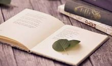 书我一生的伙伴