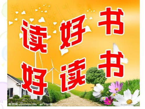 我爱上了800字的阅读作品