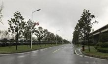 一场秋雨一场凉_550字