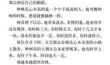 我是一棵桃花心木