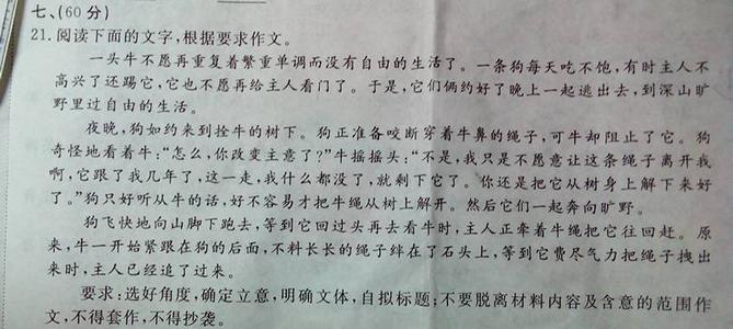 800字的负担构成
