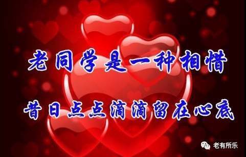 常量丢失