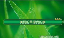 美丽的灵州我的家