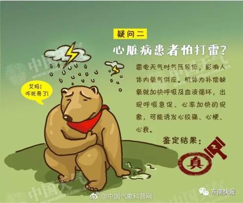 好奇心是发现真相的第一步