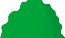 我是一棵小小的树