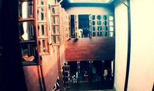 透过窗户看世界