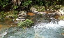 来自小溪的自述