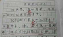 描写夜晚景色的作文