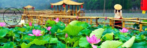 连清谷