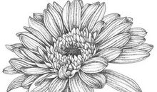 幻想中的一支笔