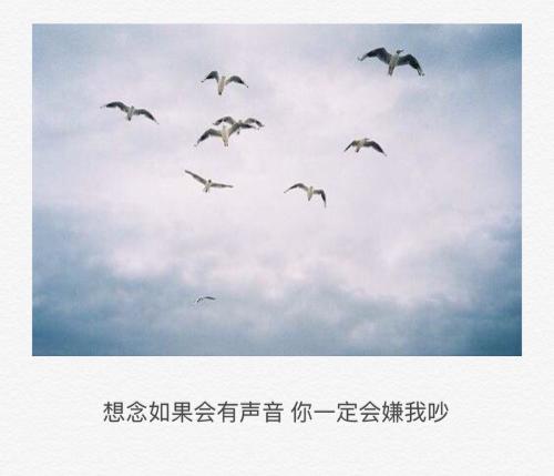 总有一个声音让我想念