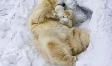 最让我感动的母爱